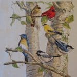 cross stitch birch tree birds, nature,
