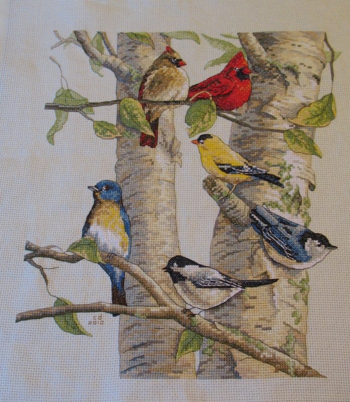 cross stitch birch tree birds, nature,