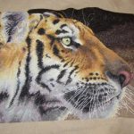 cross stitch regal tiger, side portrait